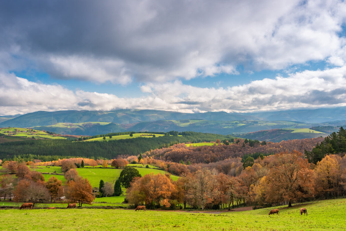 San Martín de Oscos