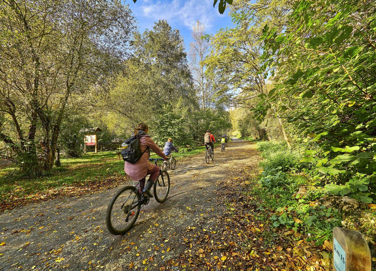Familia en la Senda del Oso, Proaza