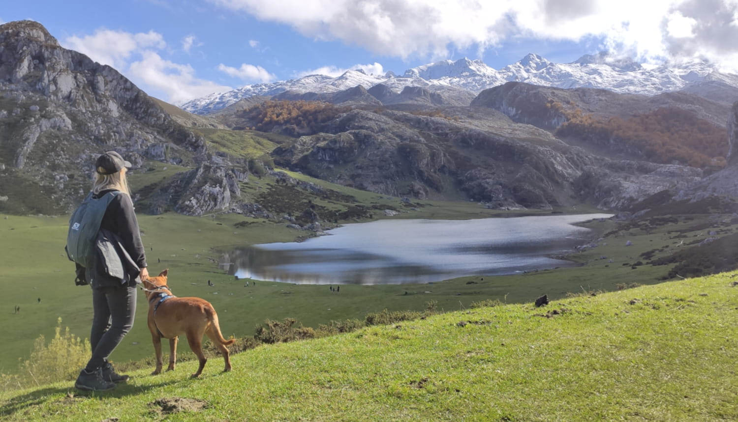 Cultural visits with your dog in Asturias