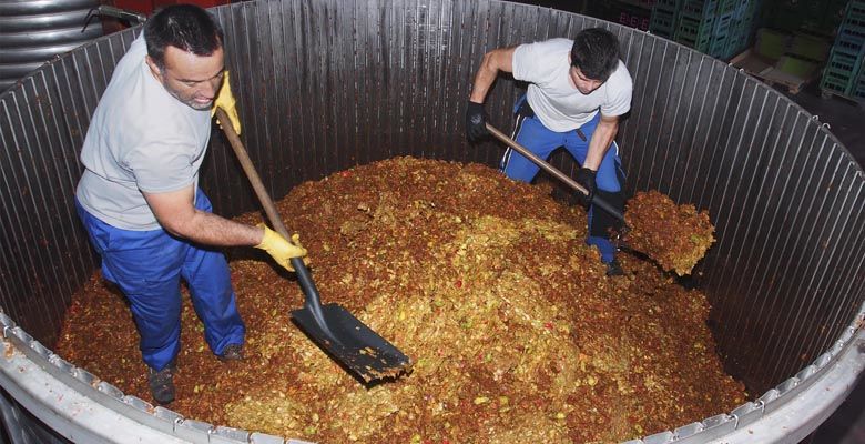 Momento del cortado del llagar