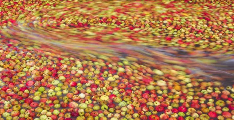 La manzana en su momento de lavado