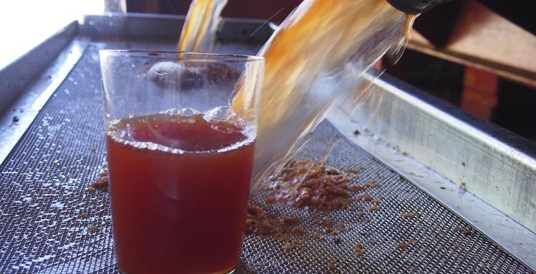 Momento de la recogida selectiva de mostos