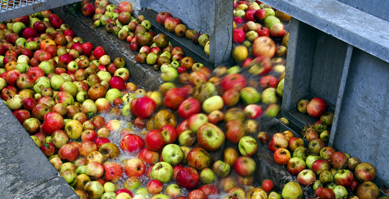 Manzanas en su fase de lavado