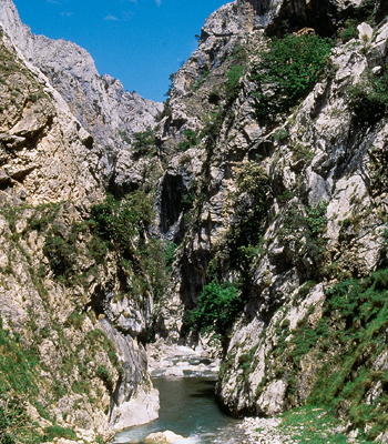 Ruta del Cares