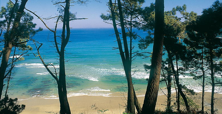 Playa de Oleiros en Cudillero