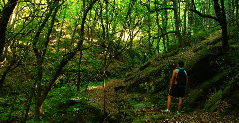 Ruta del Silencio en Villanueva de Oscos