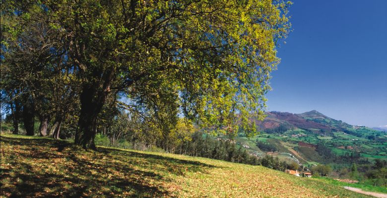 El Monte Naranco desde El Escamplero