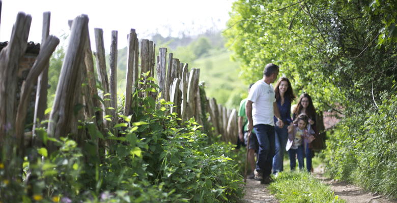 Un paseo en plena naturaleza