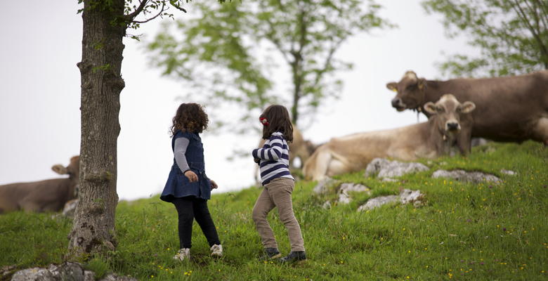 Niñas admirando unas vacas asturianas