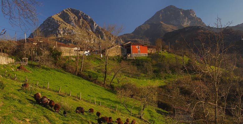 Vista del pueblo de Pen con el picu Pierzu al fondo