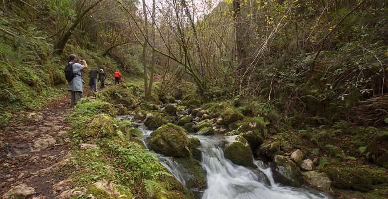 Ruta del Beyu Pen en Amieva