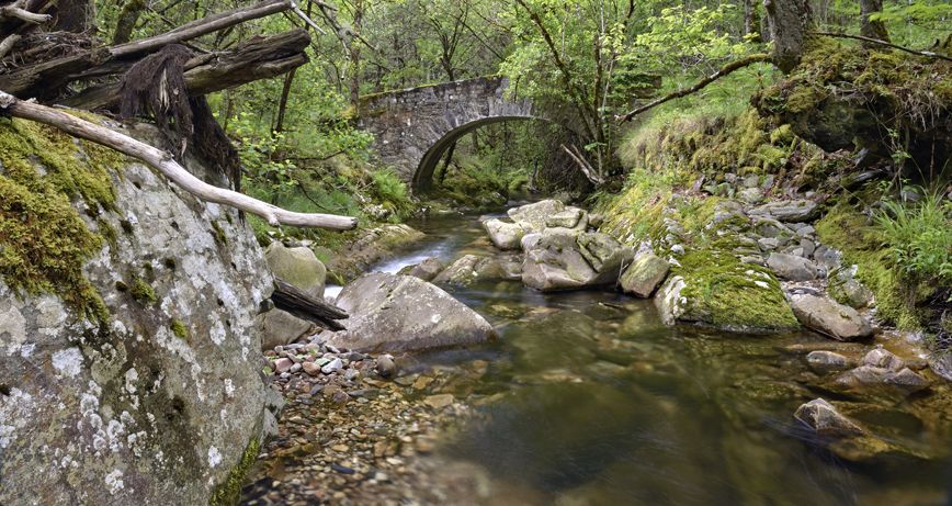 5 hiking trails to enjoy the charm of Oscos-Eo