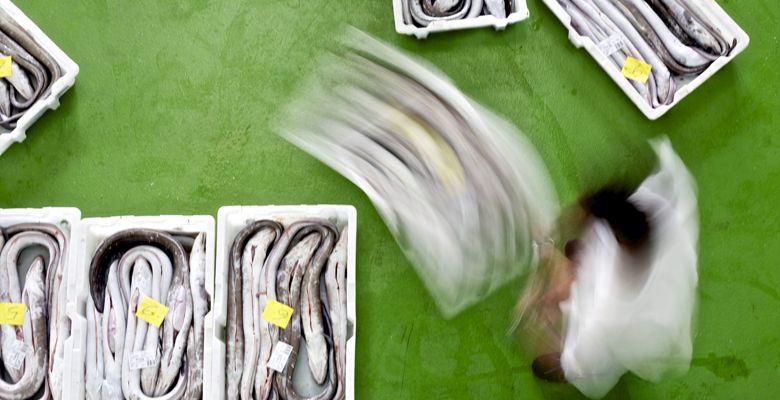 Rula de Puerto de Vega Rula de Puerto de Vega