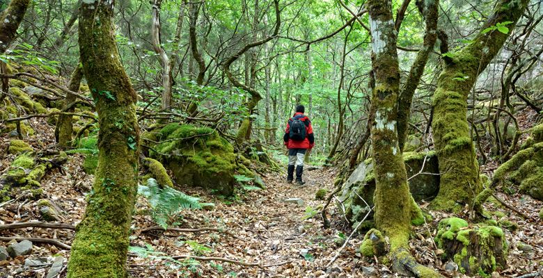 Ruta del Silencio en Los Oscos