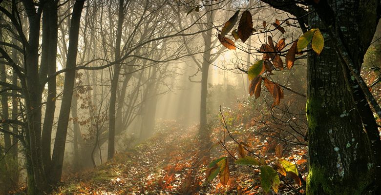 Ruta de Mon en Los Oscos