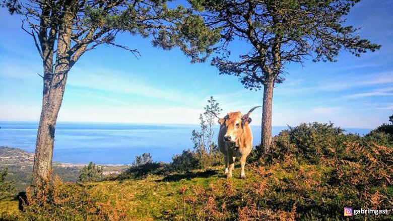 Subida al picu Pienzu