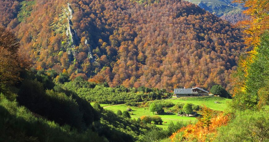 15 scenes to fall in love with autumn in Asturias