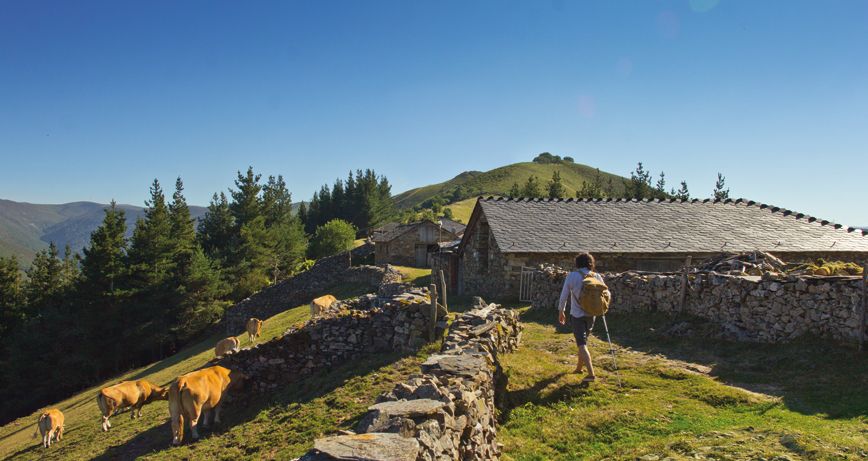 7 finds on the Primitive Way in Asturias