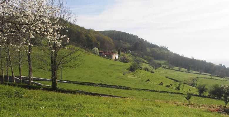 Pueblo de La Requexada en Grado