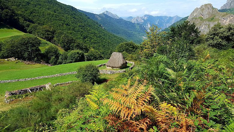 Braña de Somiedo Braña de Somiedo
