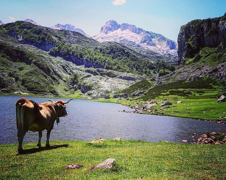 Lago Ercina (Picos de Europa) Lago Ercina (Picos de Europa)