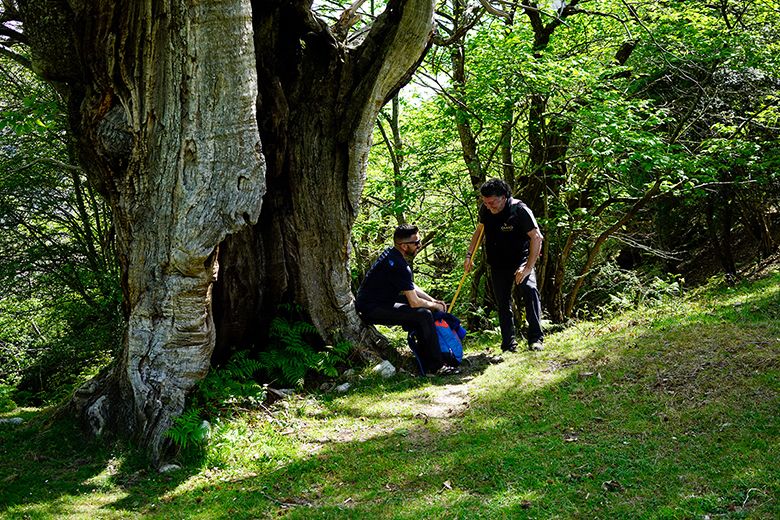 Ambiente distendido en la Asturias rural