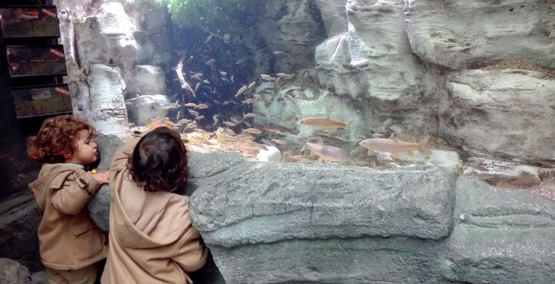 Acuario de Gijón