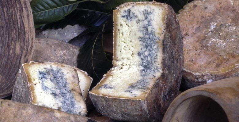 Queso Gamonéu del puerto