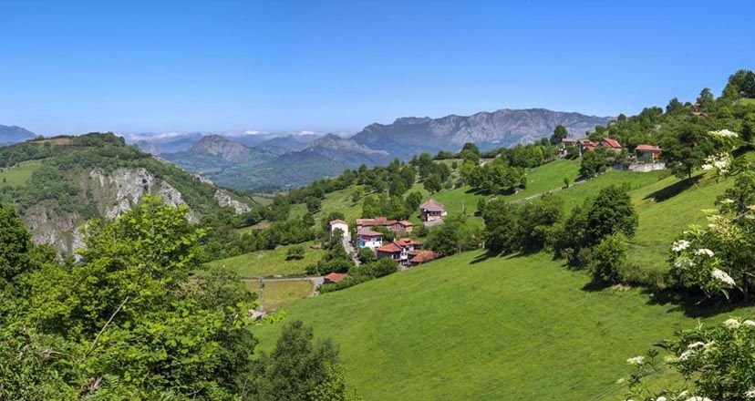 La ruta del Gamonéu, el queso que desata pasiones