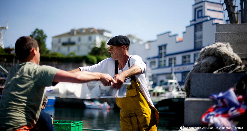 Bonito, la perla del Cantábrico