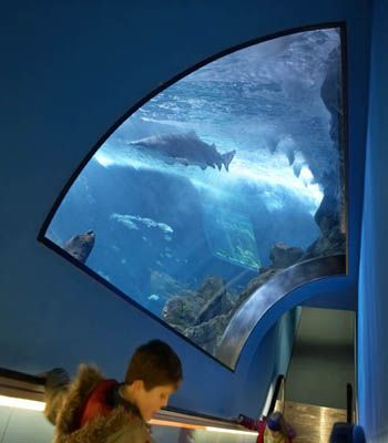 Acuario de Gijón Acuario de Gijón