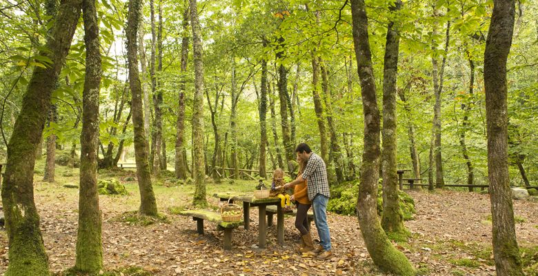 Área recreativa de La Pesanca en Cangas del Narcea