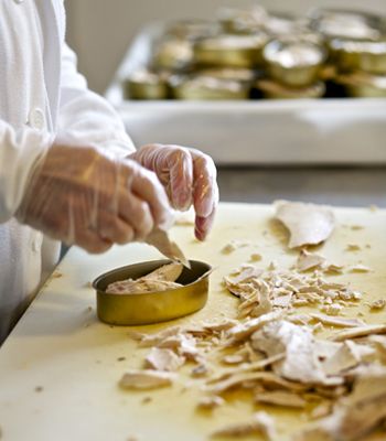 Preparando conservas en Tapia de Casariego
