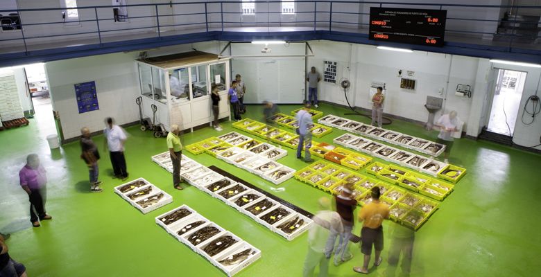 Rula de Puerto de Vega