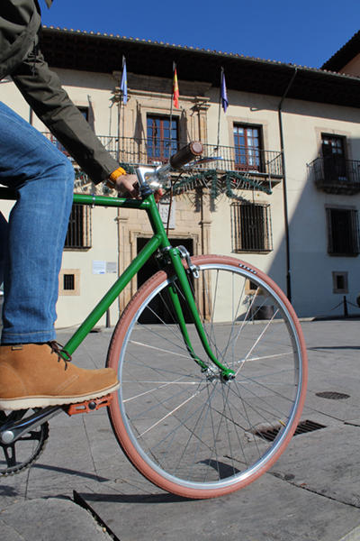 Ayuntamiento de Cangas del Narcea