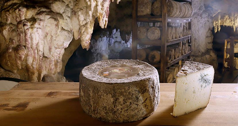 5 quesos que tienes que probar en Asturias