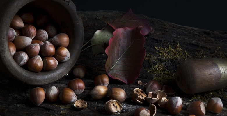 Avellanas, uno de los frutos secos más exquisitos que se dan en Asturias