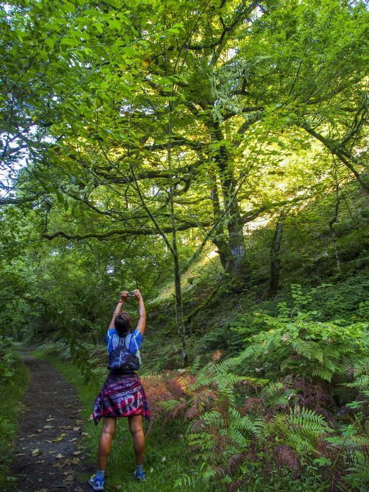 Turista en Muniellos