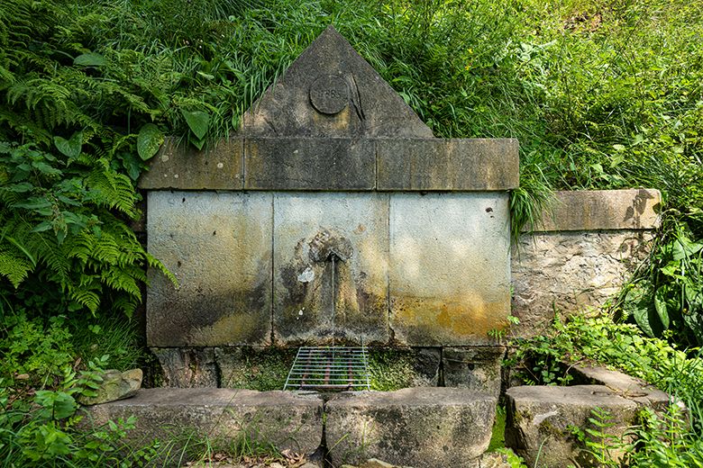 Fuente de Las Abedules ©Julio Herrera