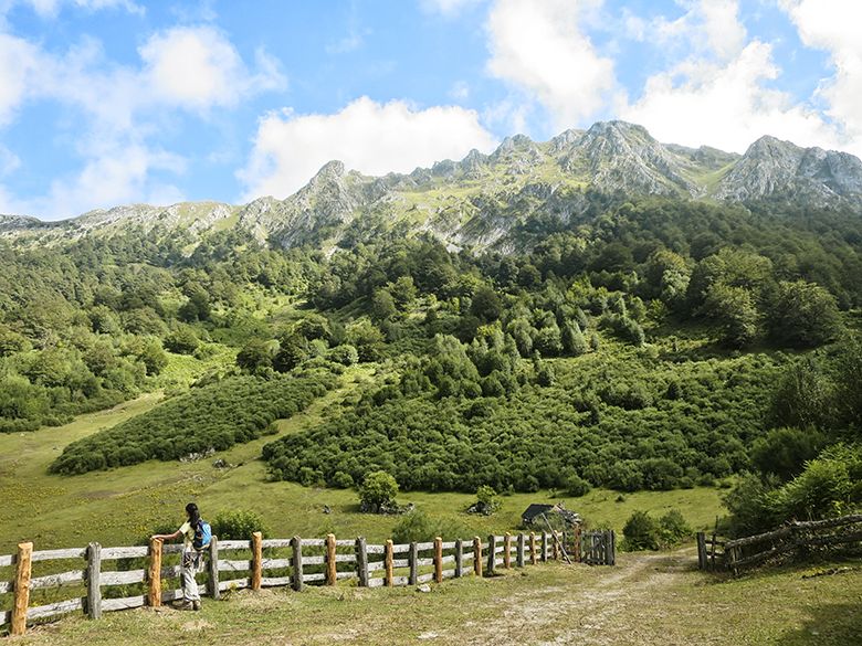 Brañagallones (Caso)