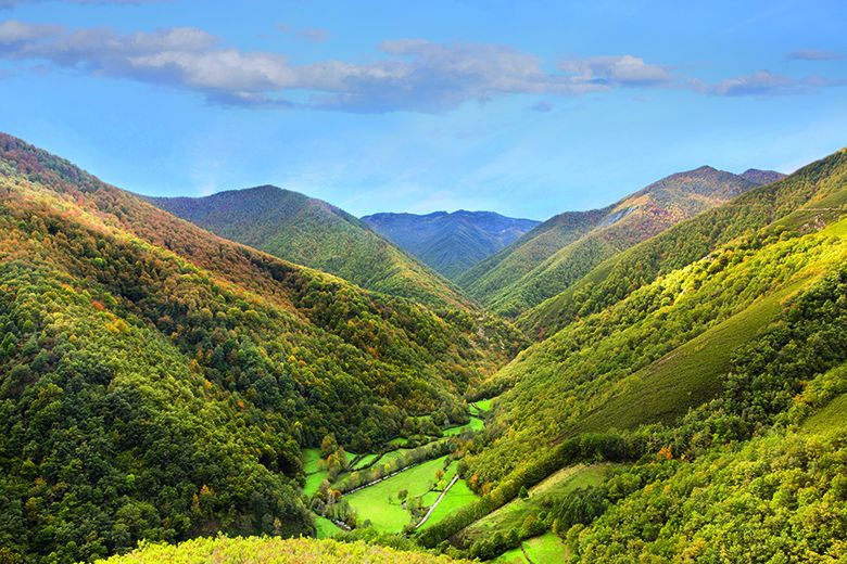 Muniellos (Cangas del Narcea)