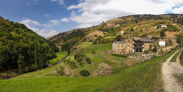 Palacio de Carballo (Cangas del Narcea)