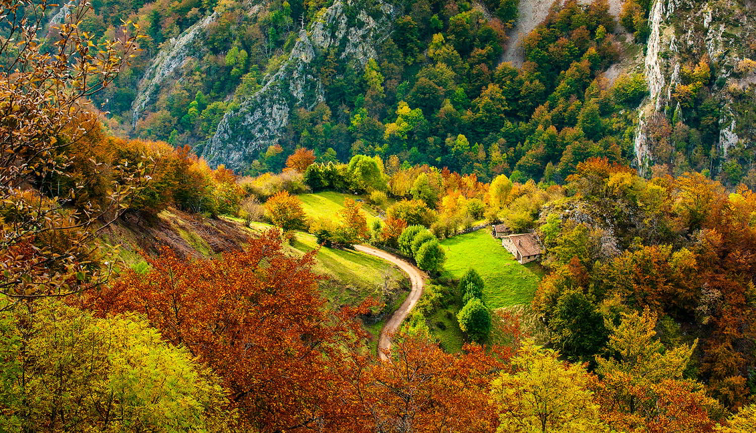 The 10 best things to see and do in the Redes Natural Park