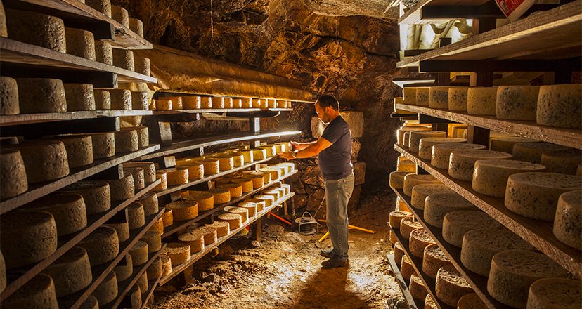 Asturias, a fascinating journey through the world of cheese