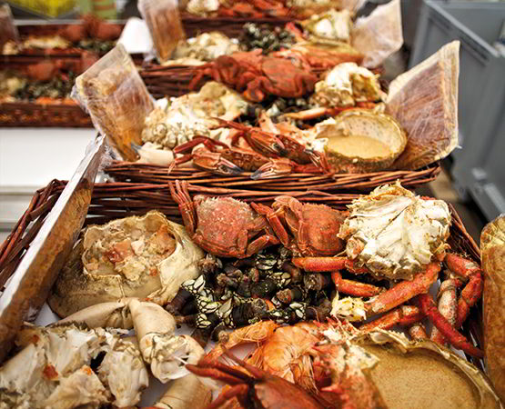 Products from the Cantabrian