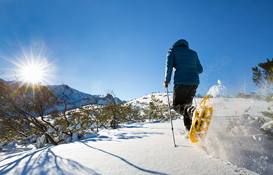 Snowshoes (Aller)