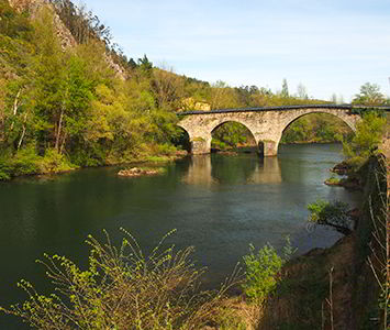 Excellent vegetable gardens and lively markets