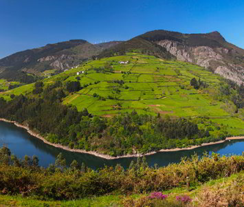Under the Navia River's sway