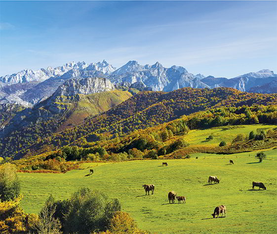 A pleasant walk through the Picos de Europa mountain range and its surroundings