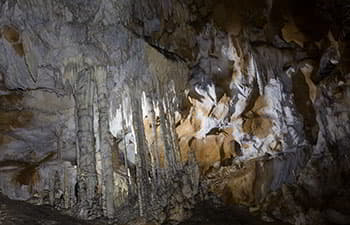 Cueva de Tito Bustillo